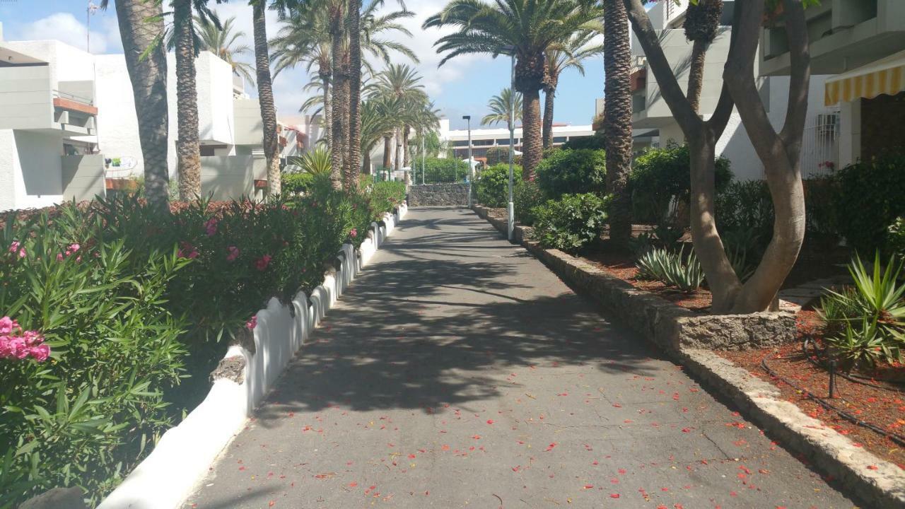 Residencial Primavera Costa Del Silencio Ngoại thất bức ảnh